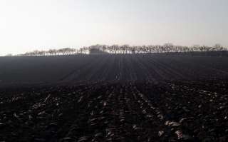 Земельный участок сельхозназначения 425 Га