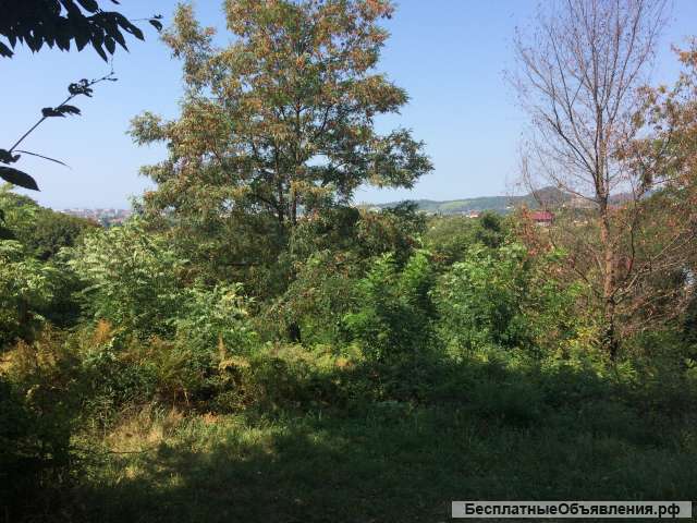 Х/у 7.5 сот в Сочи. Адлерский р-н, ул. Владимировская