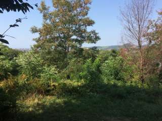 Х/у 7.5 сот в Сочи. Адлерский р-н, ул. Владимировская