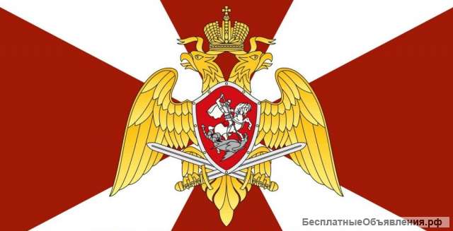 Полицейский Боец