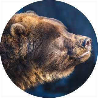 Требуется раскройщик на швейное производство