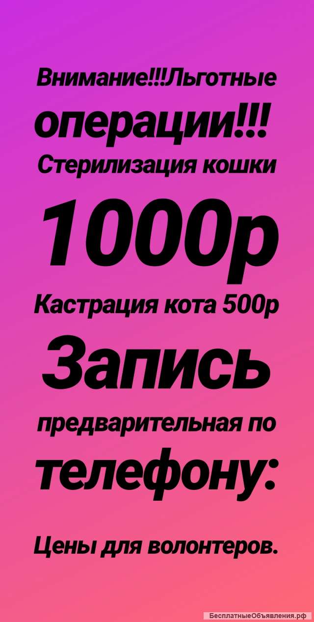 Ветеринарный кабинет