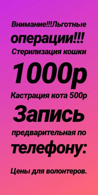 Ветеринарный кабинет