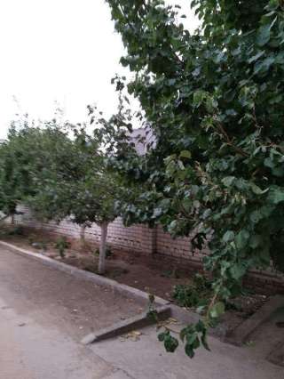 Дом для семьи в тихом, экологическом районе