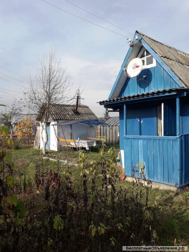 Дача с банькой, парниками, садом г. Людиново.