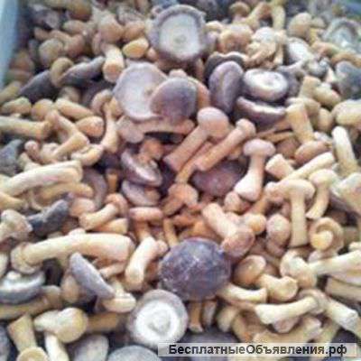 Замороженные грибы