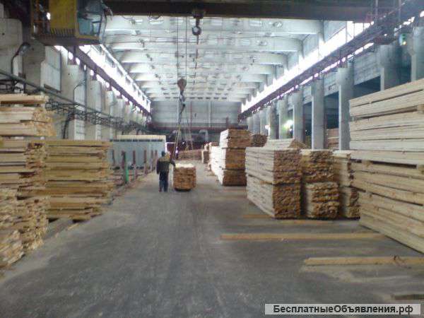 Шпон из бука — благородство и красота текстуры