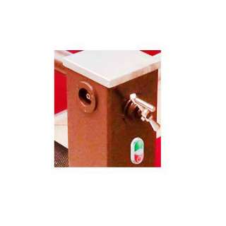 Сингуматор