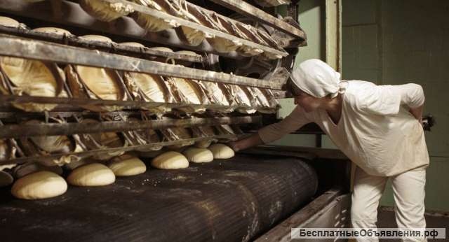 Готовый рентабельный бизнес Хлебозавод