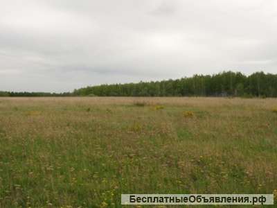 Земельный участок