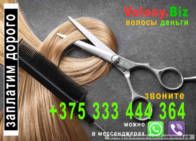 Покупаем волосы в Минске и области
