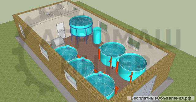 Рыбная ферма на 1 тонну