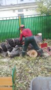 Удаление деревьев любой сложности