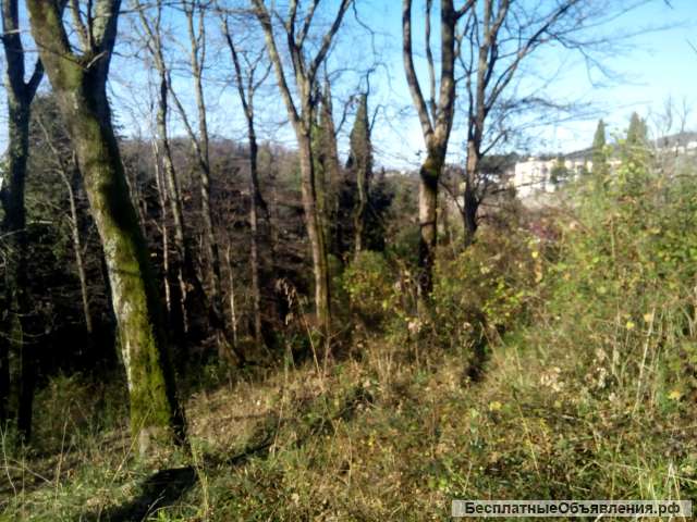 Земельного участка 8.5 сот в Сочи(Хоста)