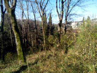 Земельного участка 8.5 сот в Сочи(Хоста)