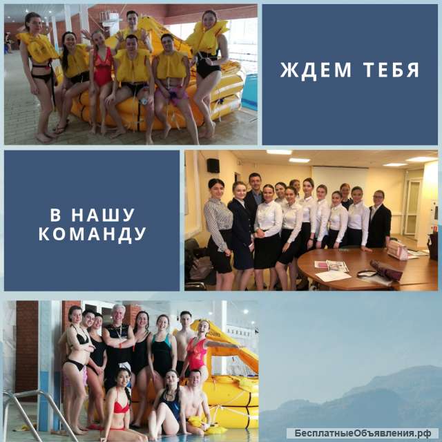 Набор в школу бортпроводников