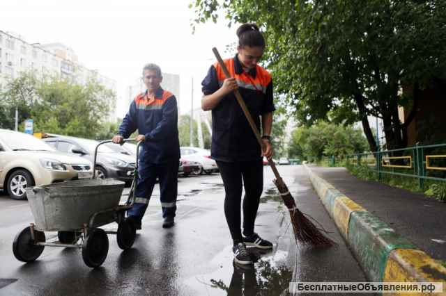 Уборка любого мусора, дворники