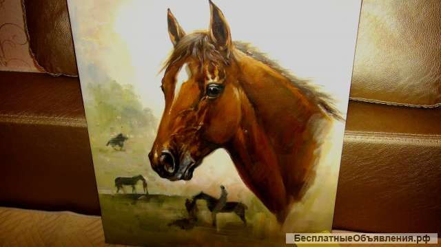 Резервация (Лошадь), 50х60см, Картина маслом на холсте, Художник