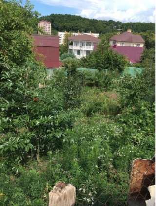 Участок в районе Олимпийского парка в Сочи