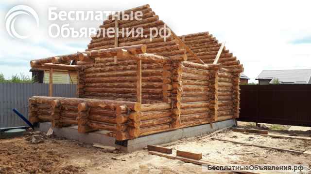 Срубы из сосны в наличии с доставкой