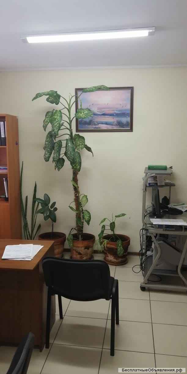 Офисное помещение, 20 м²