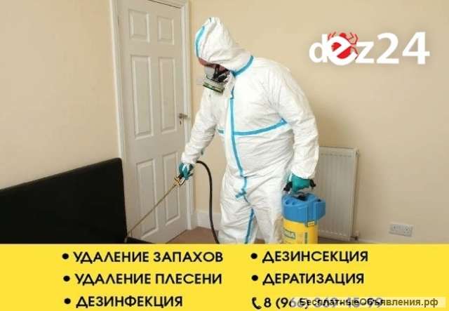 Уничтожение клопов и тараканов