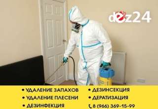 Уничтожение клопов и тараканов