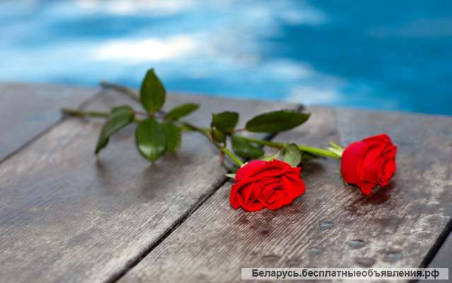 Ритуальные услуги