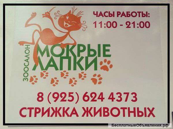 Стрижка собак и кошек