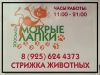 Стрижка собак и кошек