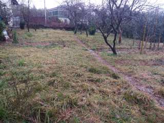 Участок. торг.