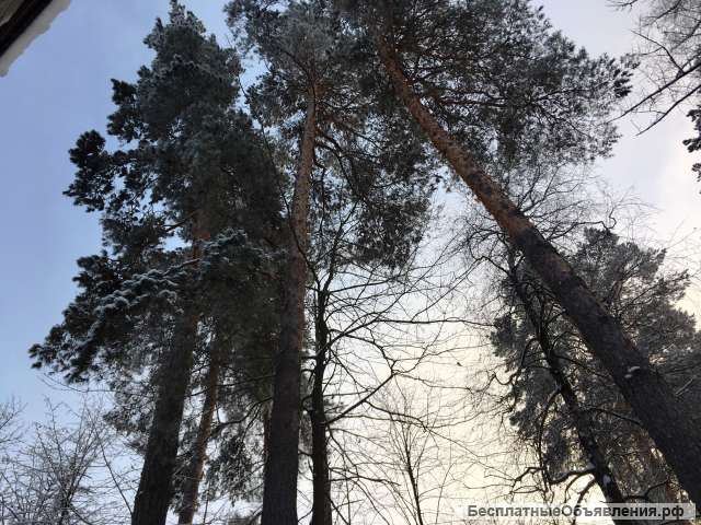 Счасьбе вдруг, в тишине