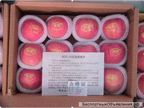 Поставка яблок из Китая