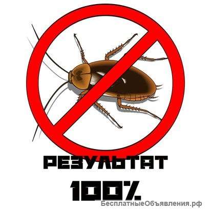 Уничтожение насекомых клопов тараканов Краснокамск. Обработка от клопов. Травля тараканов
