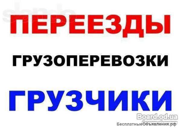 Профессиональные грузчики