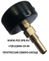 Термоманометры