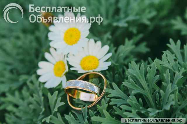 Фотограф видеограф