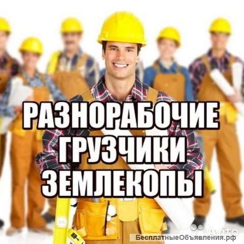 Разнорабочие Москва и обл