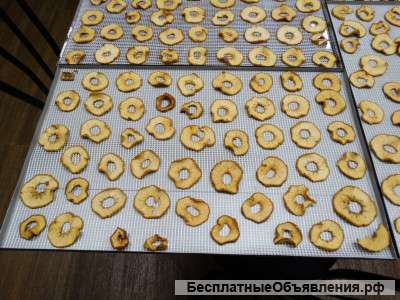 Инфракрасная сушилка (дегидратор) для сушки овощей, фруктов, лекарственного сырья, мясных и рыбных п