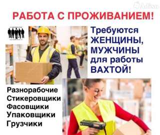 Упаковщик-комплектовщик (вахта)