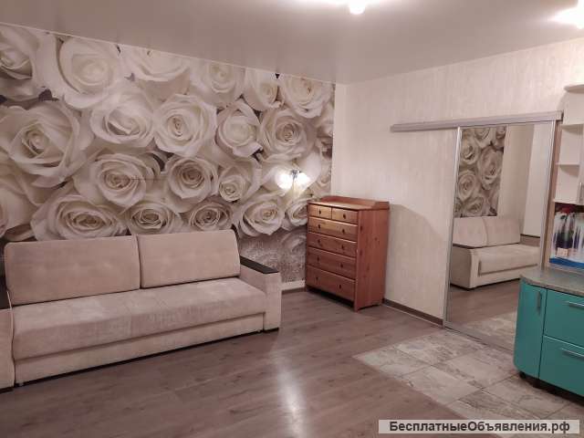 Сдам студию в Новой Купавне