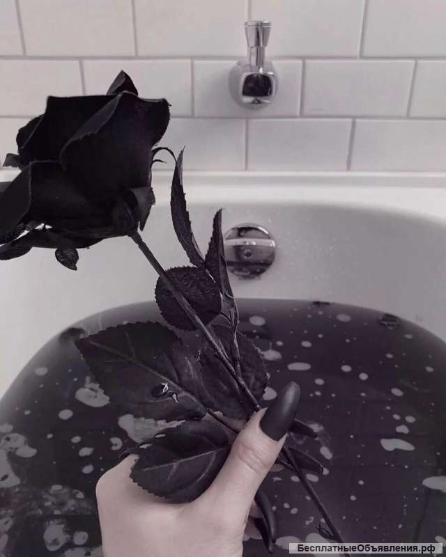 Мёртвая вода
