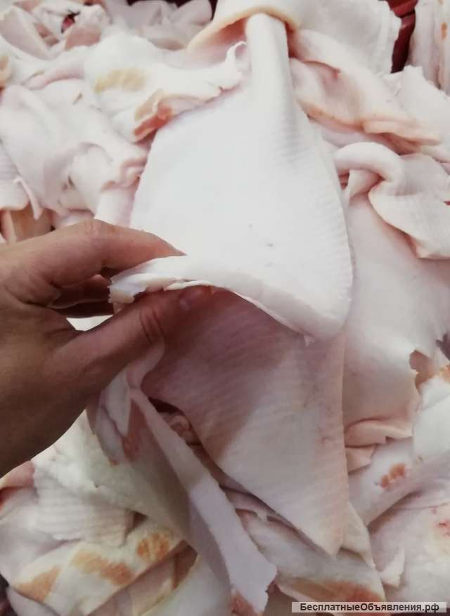 Компания предлагает мясо блочное говядину, 80/20, дефрост-2, ГОСТ, 100 тонн в месяц, шпик