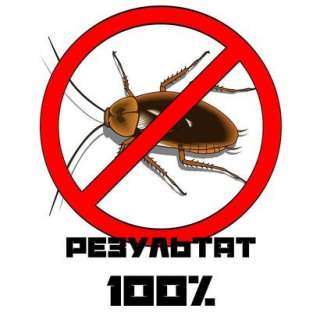 Уничтожение насекомых клопов тараканов Краснокамск СЭС Обработка