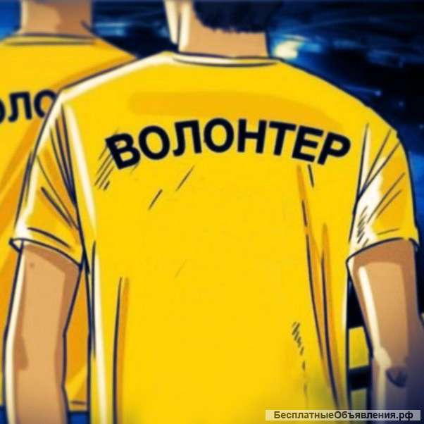 Требуются волонтеры