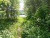 Участок 20 сот (ИЖС, ПМЖ) на 1 линии р. Хотча в д. Лесное