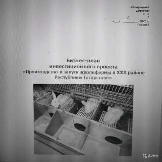 Разработка бизнес-плана