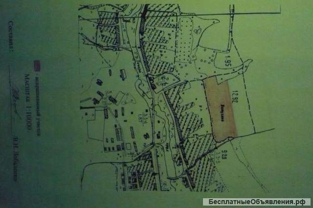 Участок площадью 8,6га расположен