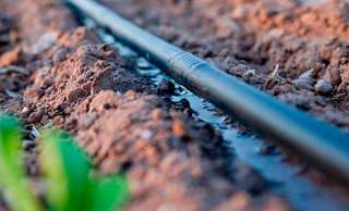 Электроника для автоматизации поливов сада и огорода