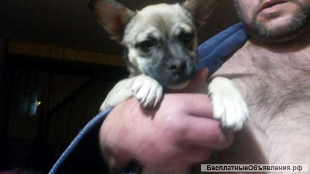 Помогите моей маме